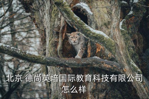 德尚創(chuàng)投投資,達晨創(chuàng)投投資了哪些公司