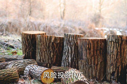 風險投資(VC