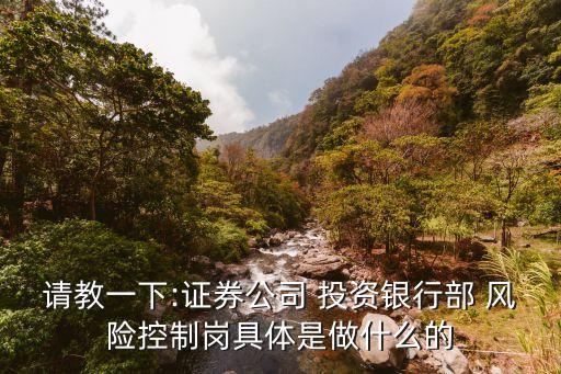 請教一下:證券公司 投資銀行部 風(fēng)險控制崗具體是做什么的