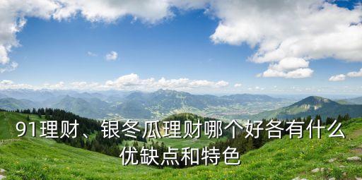 91理財(cái)、銀冬瓜理財(cái)哪個(gè)好各有什么優(yōu)缺點(diǎn)和特色
