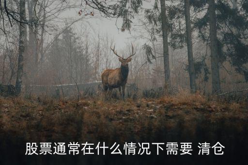  股票通常在什么情況下需要 清倉(cāng)