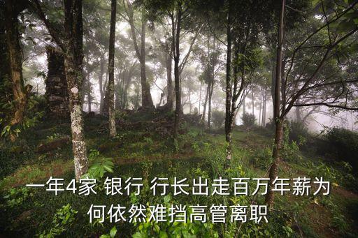 一年4家 銀行 行長(zhǎng)出走百萬(wàn)年薪為何依然難擋高管離職