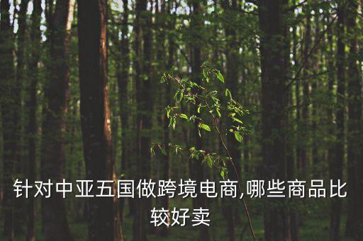針對(duì)中亞五國(guó)做跨境電商,哪些商品比較好賣