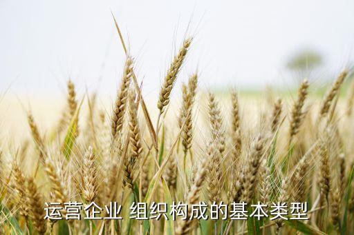 運(yùn)營(yíng)企業(yè) 組織構(gòu)成的基本類型