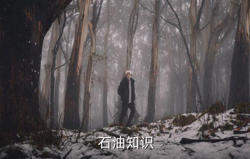 中國的石油靠進口,中國石油是靠進口還是自產(chǎn)