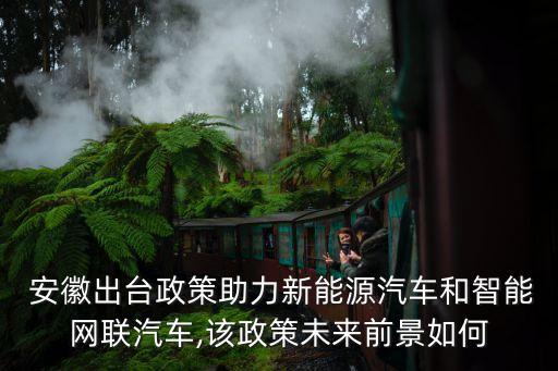  安徽出臺(tái)政策助力新能源汽車和智能網(wǎng)聯(lián)汽車,該政策未來(lái)前景如何
