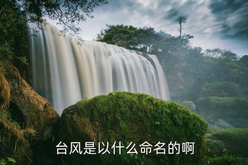 上海臺風(fēng)菲特,2013年10月臺風(fēng)菲特影響