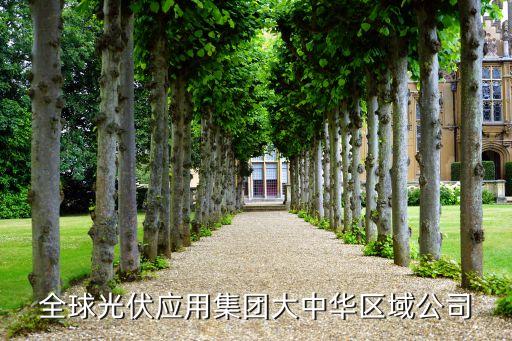 漢能全球光伏應用集團大中華區(qū)域公司