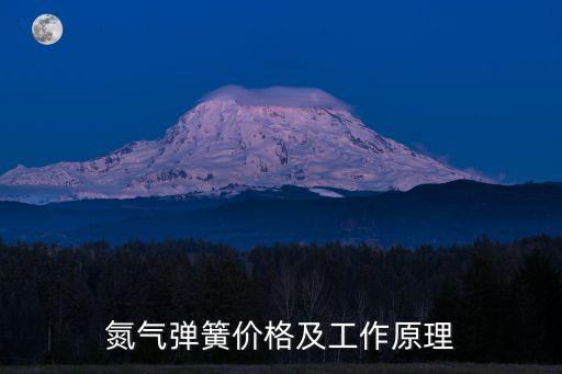 氮?dú)鈴椈蓛r(jià)格及工作原理