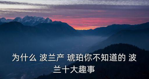 投資波蘭琥珀,波蘭琥珀設(shè)計師wanda
