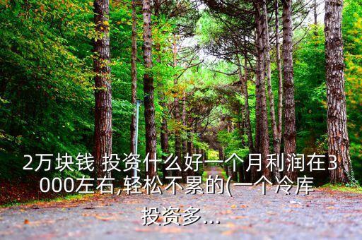 2萬(wàn)塊錢 投資什么好一個(gè)月利潤(rùn)在3000左右,輕松不累的(一個(gè)冷庫(kù) 投資多...