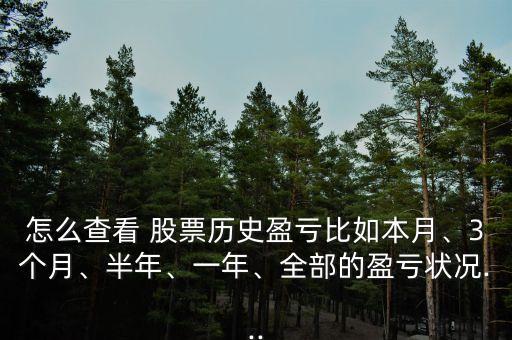 如何查詢上一年的股票資金