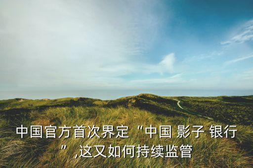 中國(guó)官方首次界定“中國(guó) 影子 銀行”,這又如何持續(xù)監(jiān)管