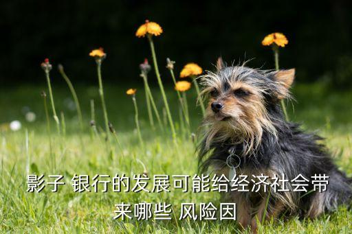  影子 銀行的發(fā)展可能給經(jīng)濟(jì)社會(huì)帶來(lái)哪些 風(fēng)險(xiǎn)因