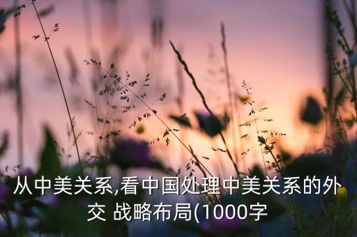 從中美關系,看中國處理中美關系的外交 戰(zhàn)略布局(1000字