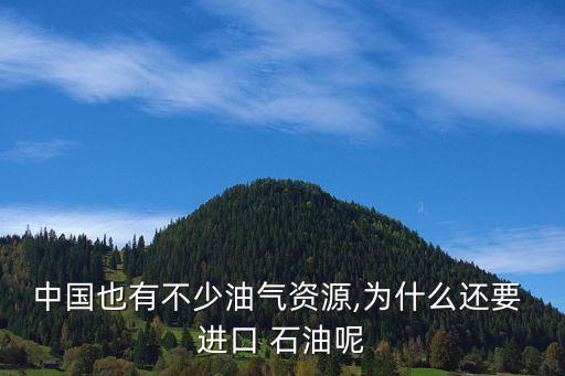 中國也有不少油氣資源,為什么還要 進(jìn)口 石油呢