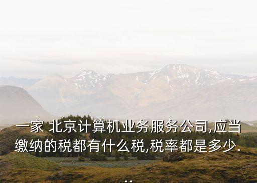一家 北京計算機業(yè)務(wù)服務(wù)公司,應(yīng)當(dāng)繳納的稅都有什么稅,稅率都是多少...