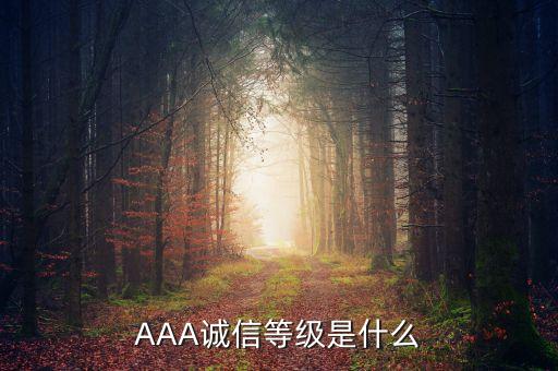 AAA誠信等級(jí)是什么