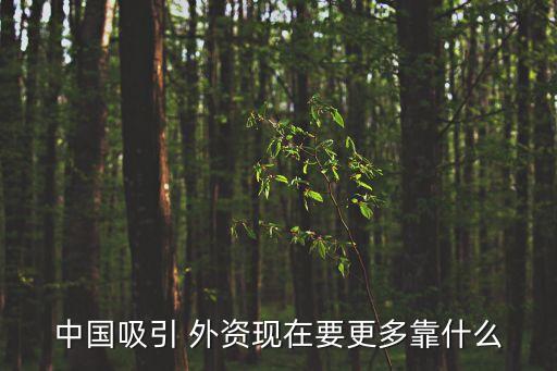 中國(guó)吸引 外資現(xiàn)在要更多靠什么