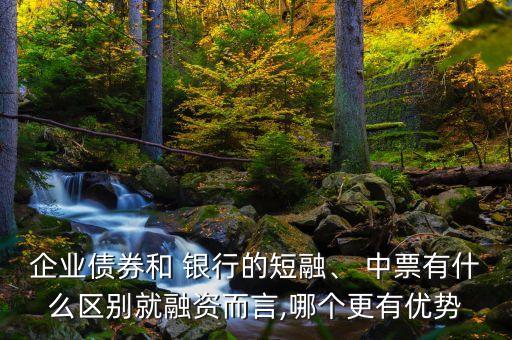 企業(yè)債券和 銀行的短融、 中票有什么區(qū)別就融資而言,哪個(gè)更有優(yōu)勢(shì)