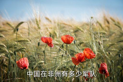 中國(guó)在非洲有多少軍隊(duì)