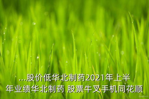 心腦血管龍頭股票,中國(guó)心腦血管龍頭藥企
