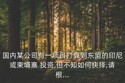 國內(nèi)某公司有一項(xiàng)目打算到東盟的印尼或柬埔寨 投資,但不知如何抉擇,請根...