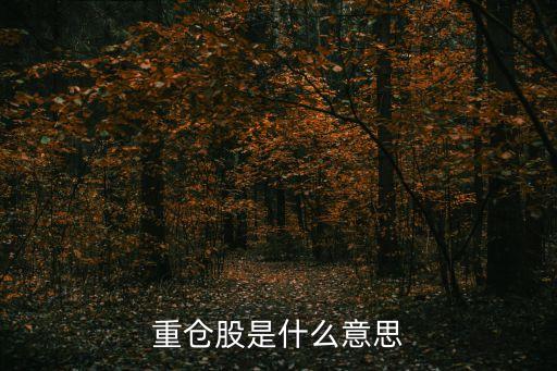 社?；鹜顿Y的股票