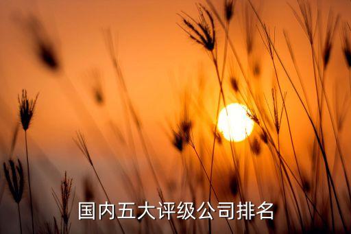 國內(nèi)五大評(píng)級(jí)公司排名