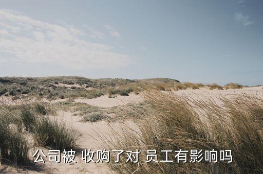 公司被收購員工怎么辦,原公司被收購,員工怎么辦