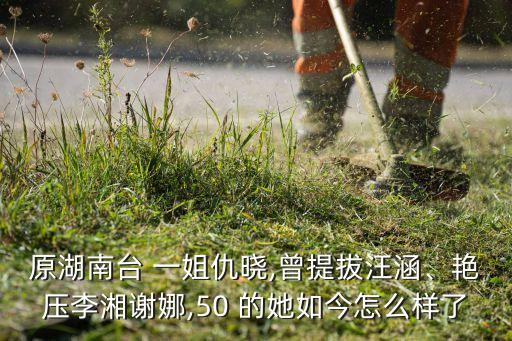 原湖南臺(tái) 一姐仇曉,曾提拔汪涵、艷壓李湘謝娜,50 的她如今怎么樣了