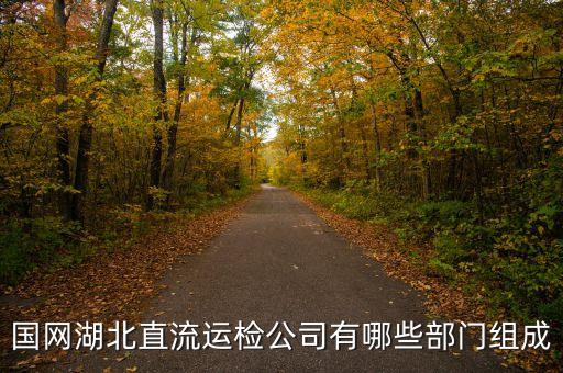 國網(wǎng)湖北直流運(yùn)檢公司有哪些部門組成