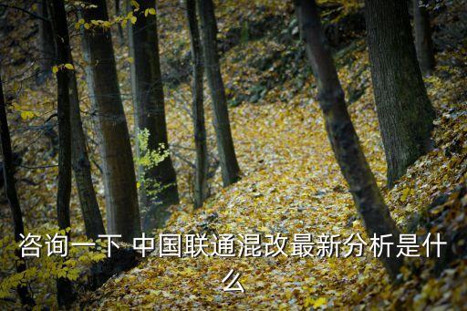 咨詢(xún)一下 中國(guó)聯(lián)通混改最新分析是什么