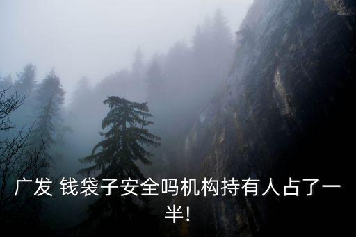 廣發(fā) 錢袋子安全嗎機構持有人占了一半!