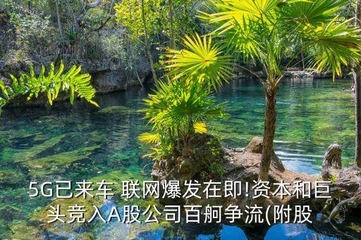 5G已來(lái)車(chē) 聯(lián)網(wǎng)爆發(fā)在即!資本和巨頭競(jìng)?cè)階股公司百舸爭(zhēng)流(附股