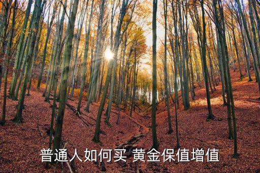 普通人如何買(mǎi) 黃金保值增值
