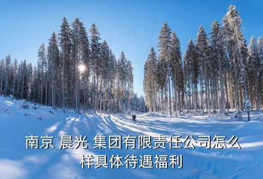  南京 晨光 集團有限責任公司怎么樣具體待遇福利