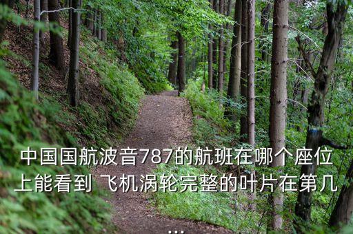 中國飛機(jī)發(fā)動(dòng)機(jī)排名,飛機(jī)發(fā)動(dòng)機(jī)排名前十品牌
