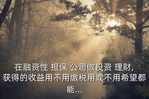 擔保公司可以做理財嗎