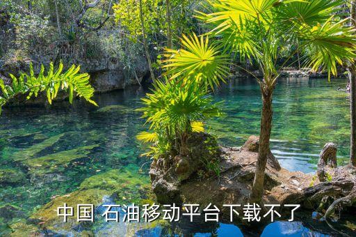 中國(guó) 石油移動(dòng)平臺(tái)下載不了