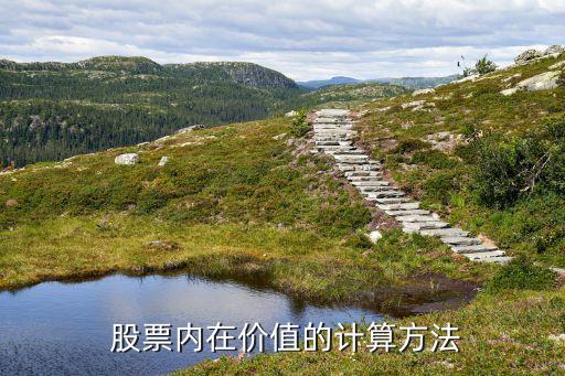 股票的未來(lái)收益,股票未來(lái)收益的價(jià)值