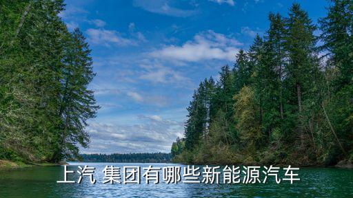 上汽集團各分公司