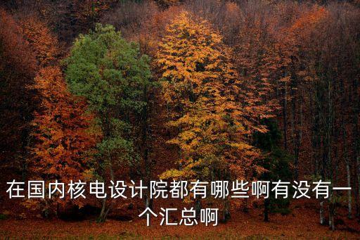 在國內(nèi)核電設(shè)計(jì)院都有哪些啊有沒有一個(gè)匯總啊
