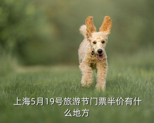  上海5月19號(hào)旅游節(jié)門票半價(jià)有什么地方