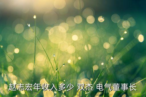 趙志宏年收入多少 雙杰 電氣董事長