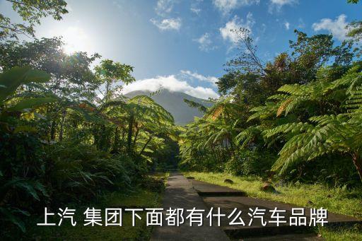  上汽 集團(tuán)下面都有什么汽車品牌