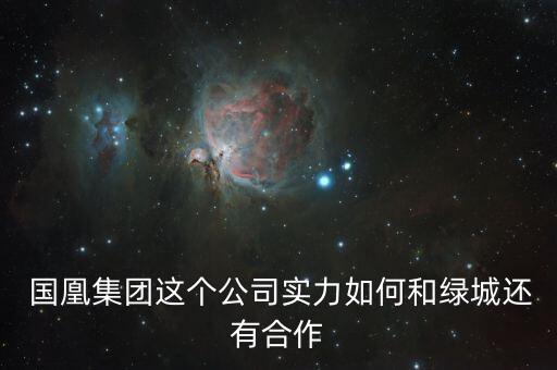  國凰集團(tuán)這個公司實(shí)力如何和綠城還有合作