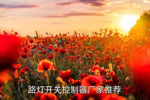 路燈開關(guān)控制器廠家推薦
