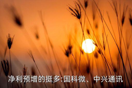 凈利預(yù)增的挺多:國(guó)科微、中興通訊