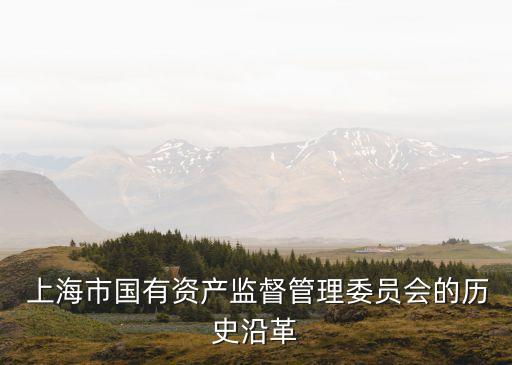 上海國企國資改革,山西省國企國資改革財(cái)政支持政策